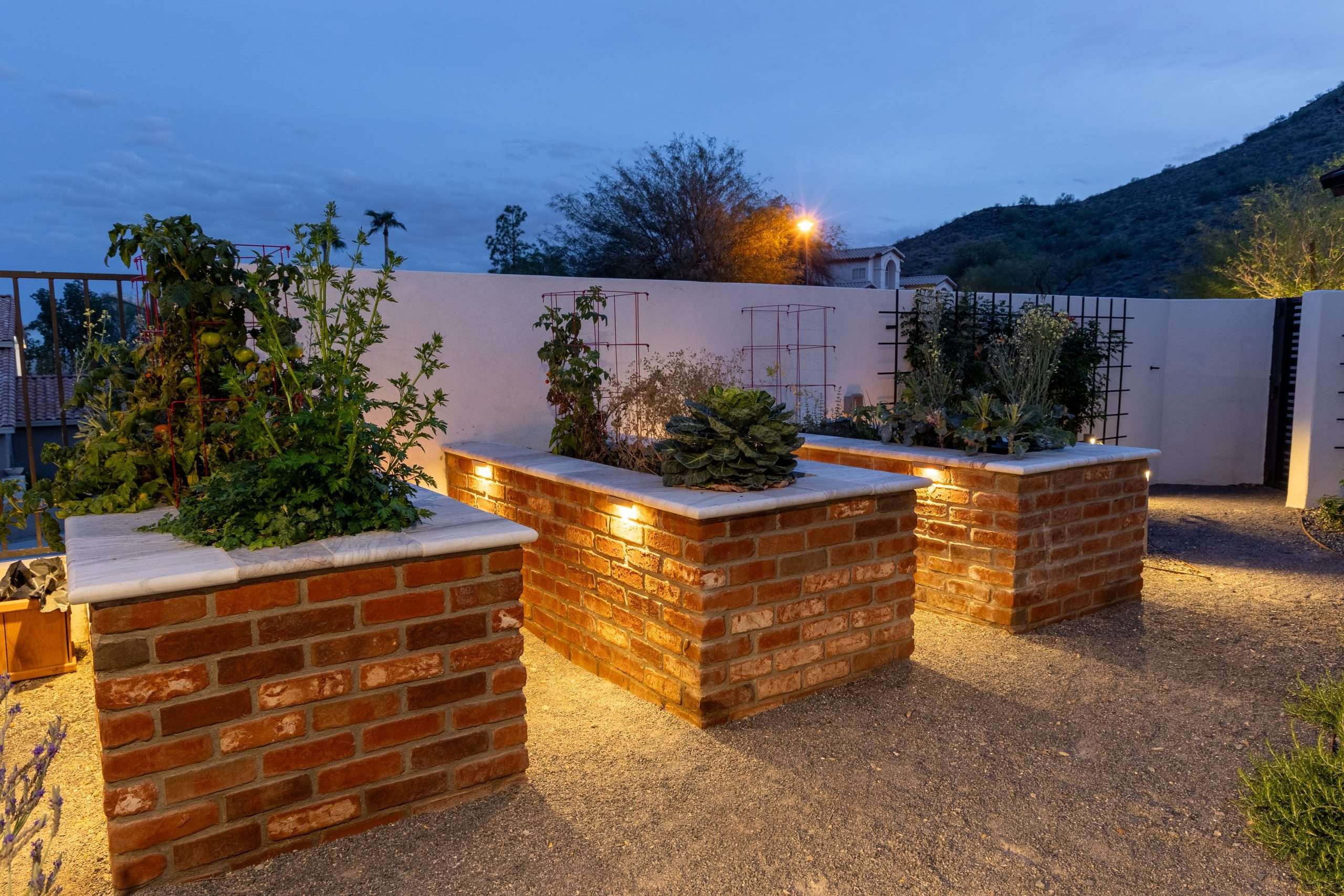Gallery - Landscape Lighting
