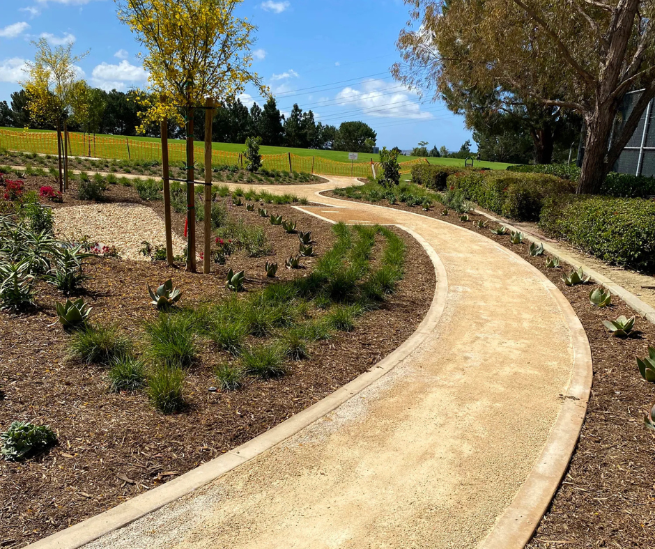 Park DG decomposed granite walkway with gravel surrounding the flowerbeds